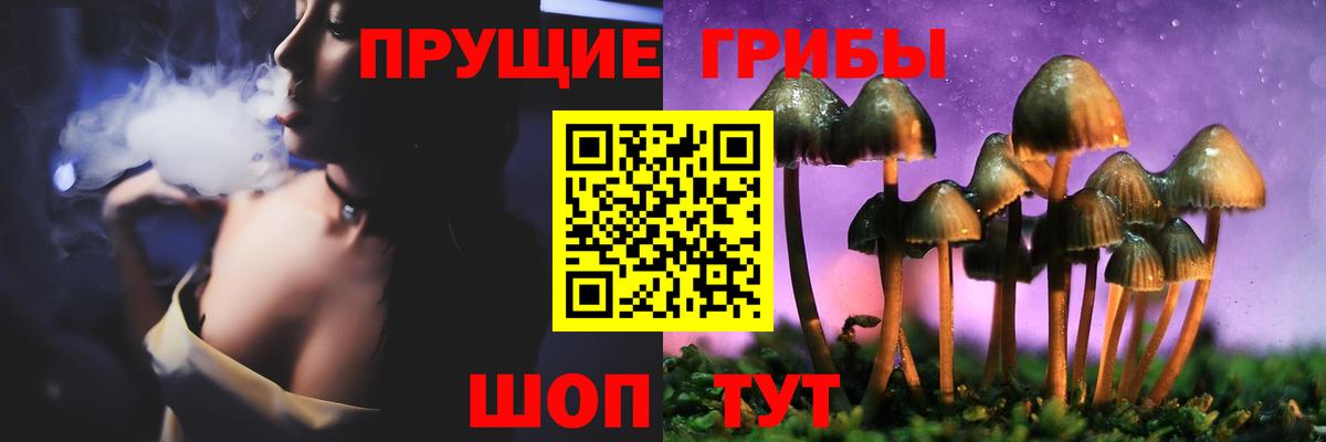 Мончегорск  Галлюциногенные грибы мухоморы  Вход с VPN 